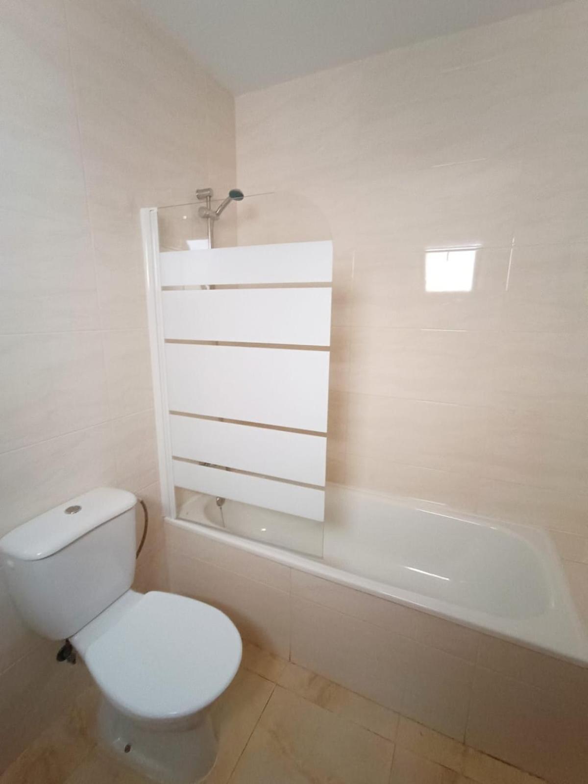 Apartamentos Larios マラガ エクステリア 写真