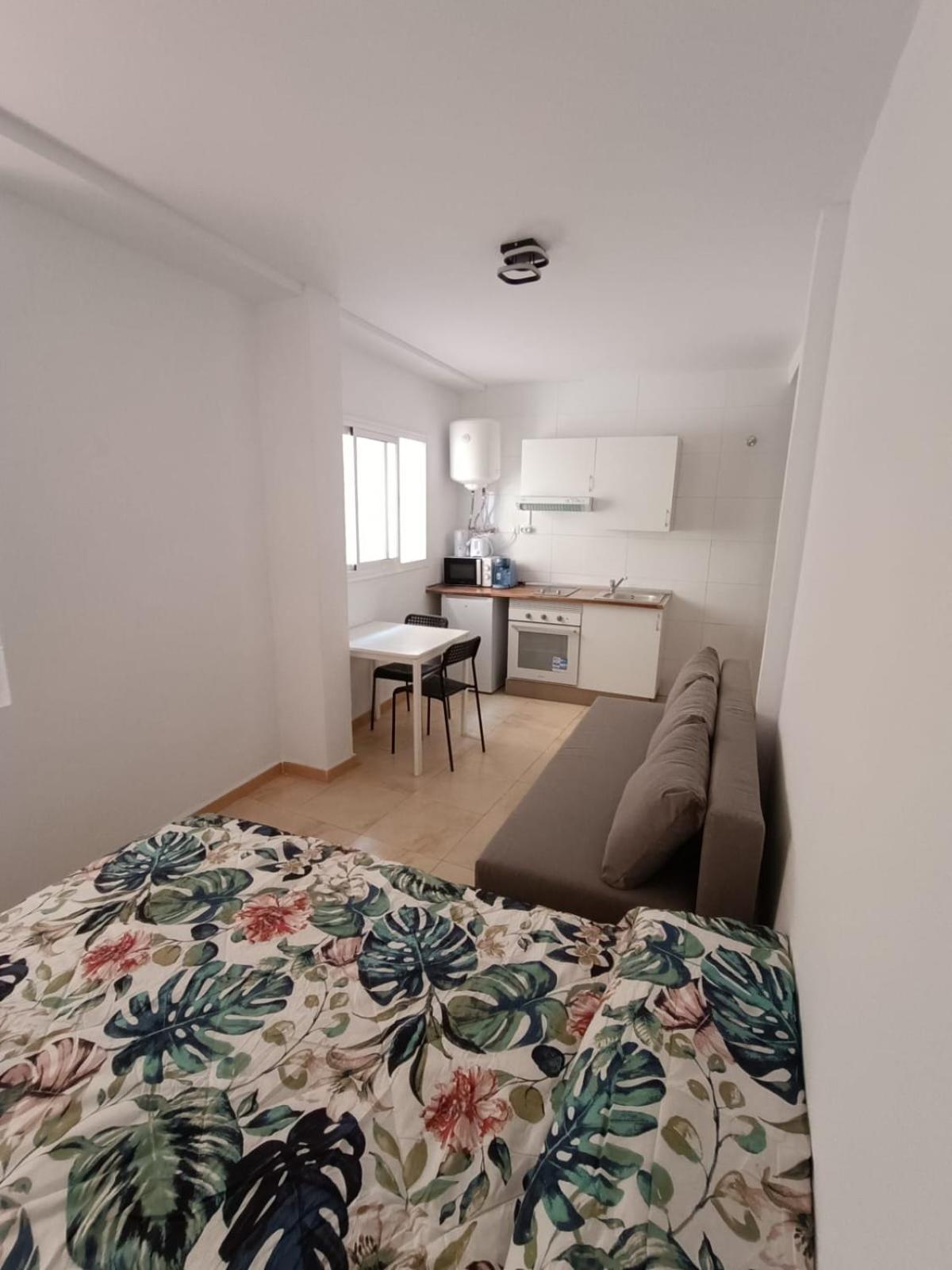 Apartamentos Larios マラガ エクステリア 写真