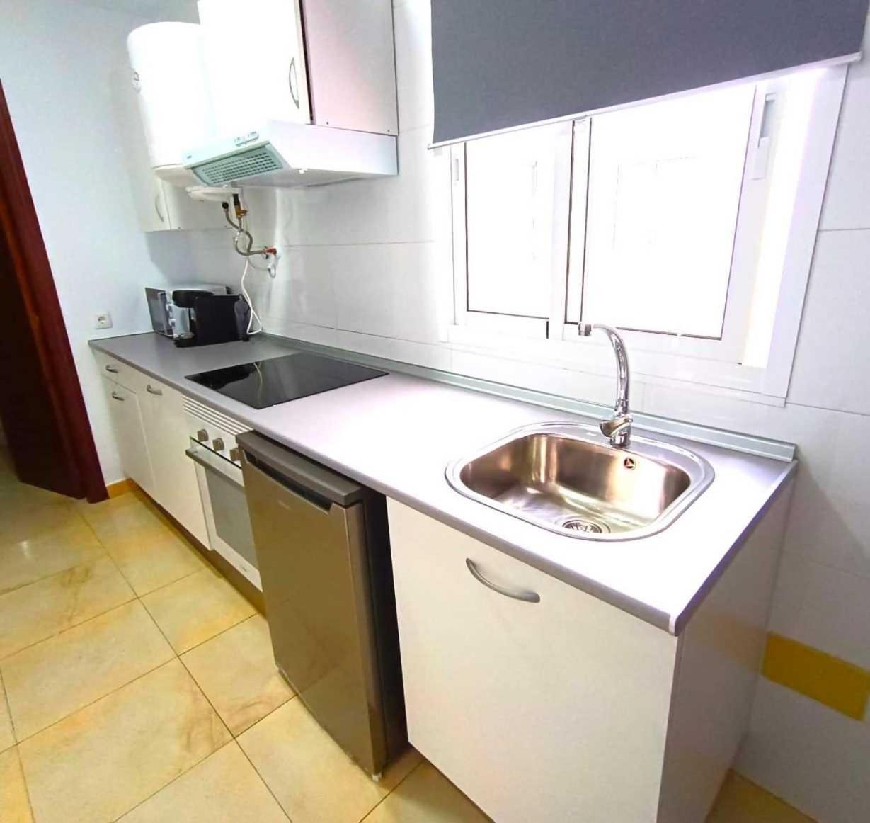 Apartamentos Larios マラガ エクステリア 写真