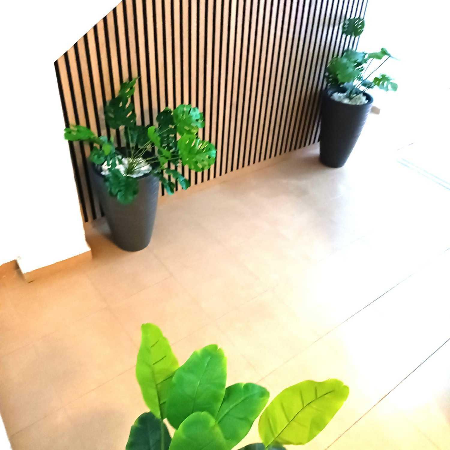 Apartamentos Larios マラガ エクステリア 写真