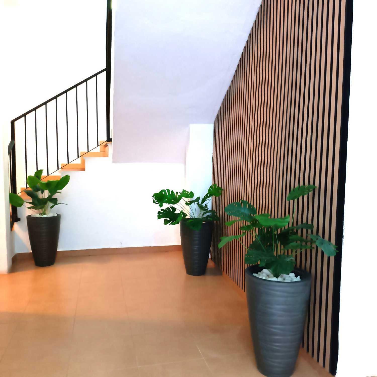 Apartamentos Larios マラガ エクステリア 写真