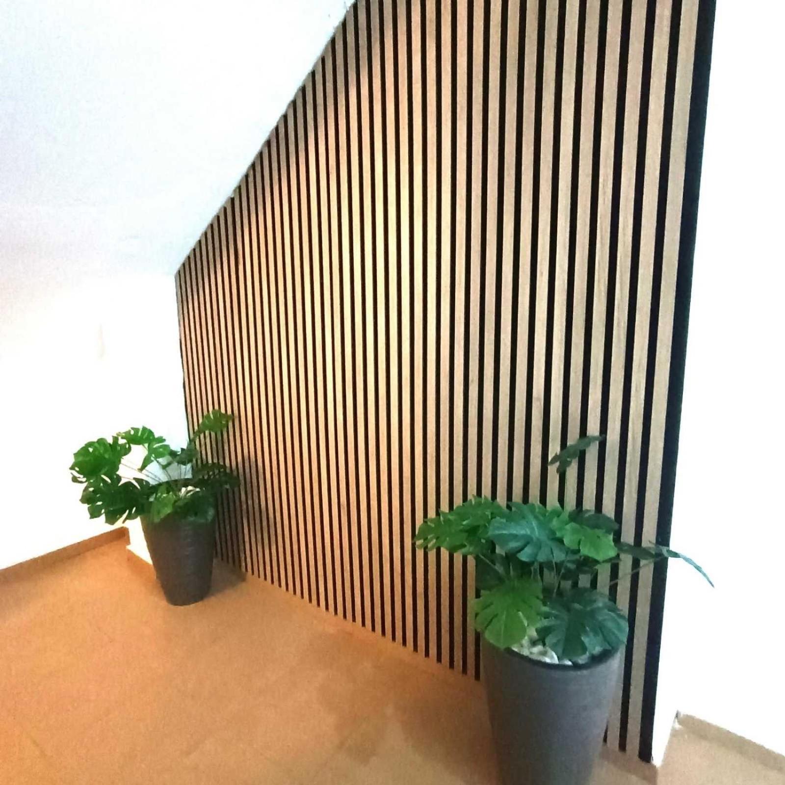 Apartamentos Larios マラガ エクステリア 写真